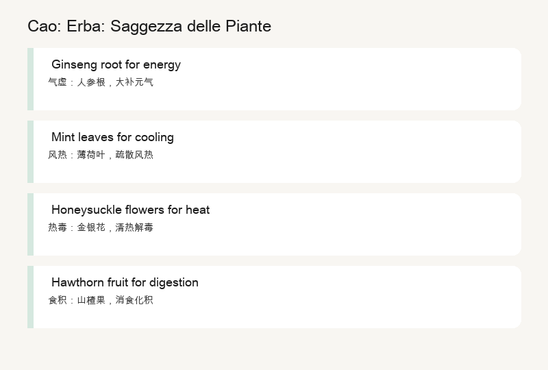 Cao: Erbe: Saggezza delle Piante