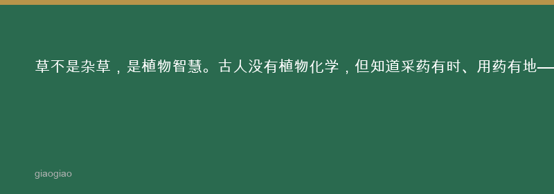 草：本草：植物智慧