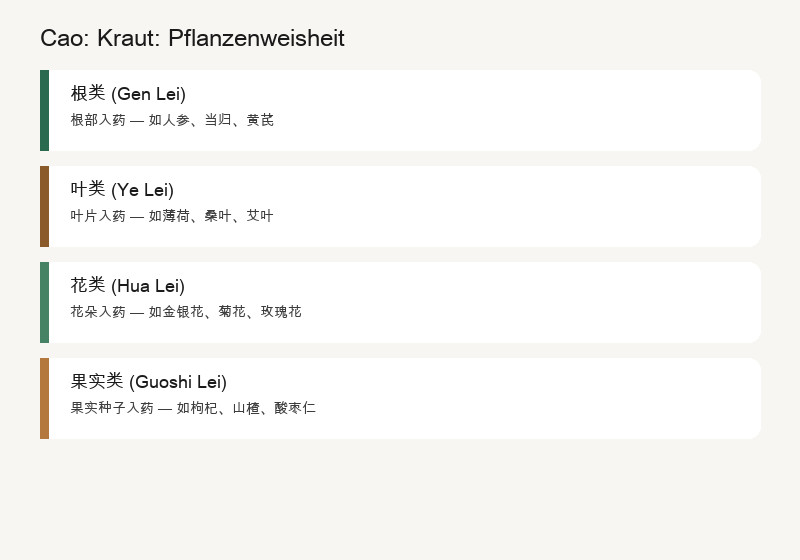 Cao: Heilkraut: Pflanzenweisheit