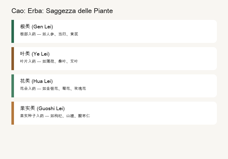 Cao: Erbe: Saggezza delle Piante
