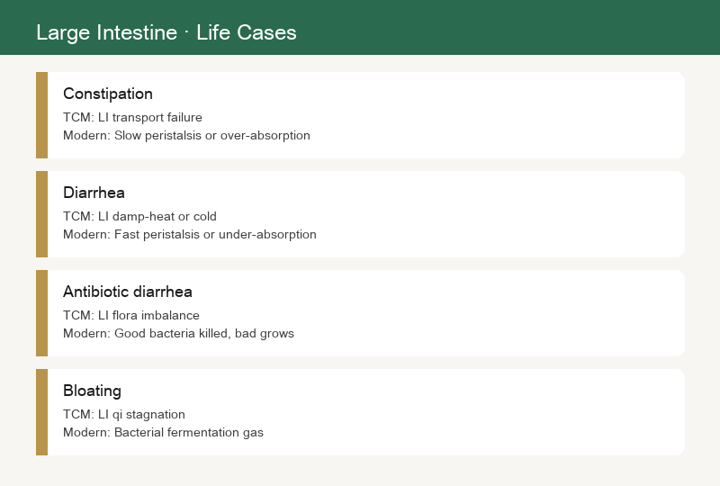 Cases of Large Intestine Disorders