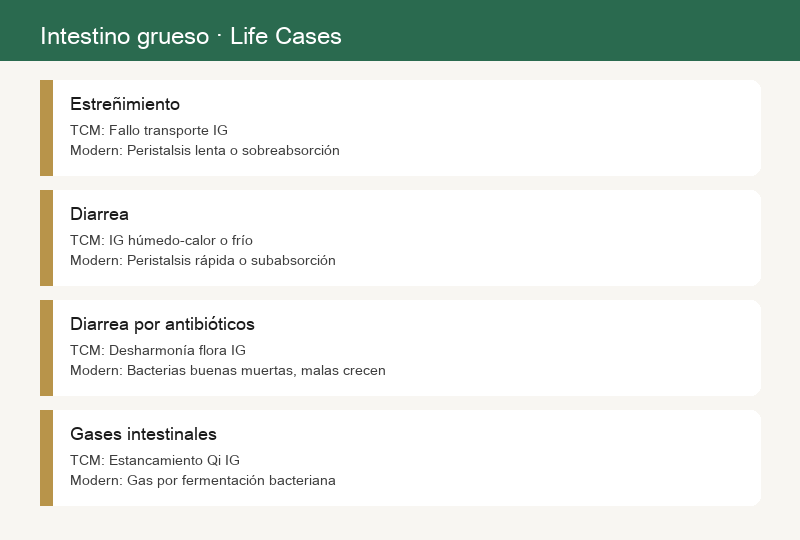 Casos de la vida: estreñimiento, diarrea, diarrea relacionada con antibióticos, hinchazón intestinal