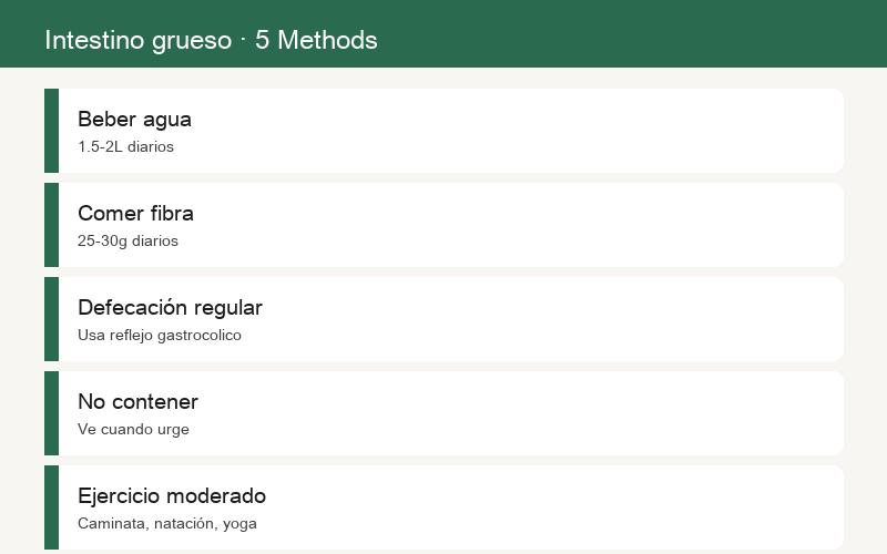 Cinco métodos para nutrir el intestino grueso