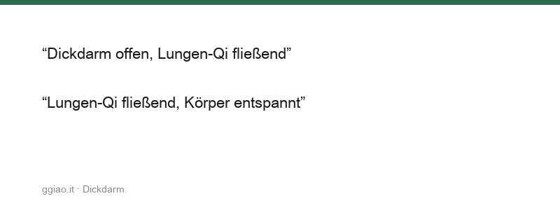 Der Dickdarm leitet fort, die Verwandlung entsteht