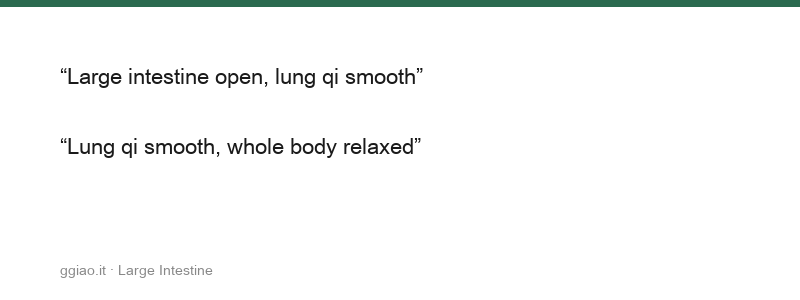The Large Intestine Transmits and Changes