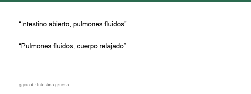 El intestino grueso transmite, la transformación emerge