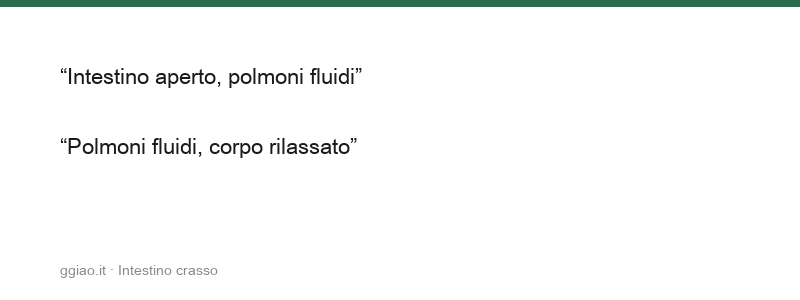 L'intestino crasso trasmette, la trasformazione emerge