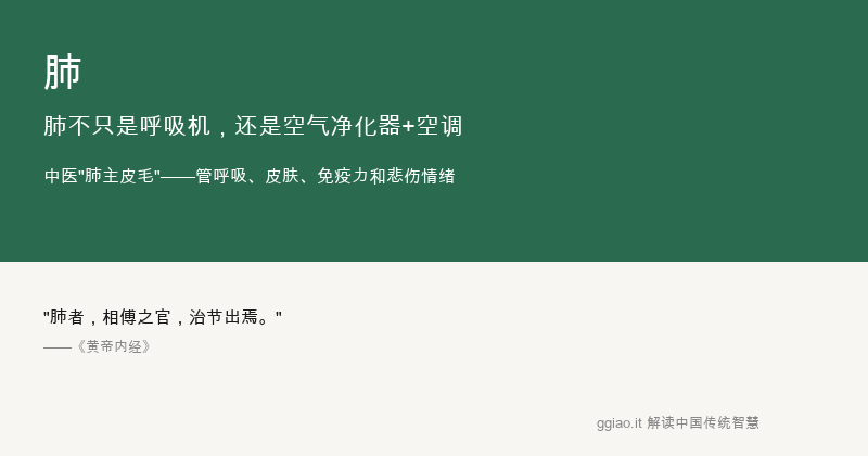 肺：肺是空气净化器，也是空调系统