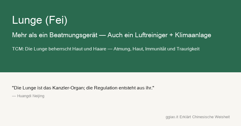 Lunge: Die Lunge ist Luftreiniger und Klimaanlage