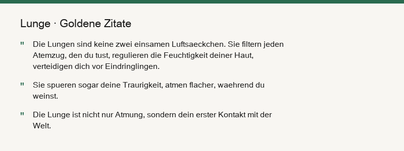 Zusammenfassung Lunge