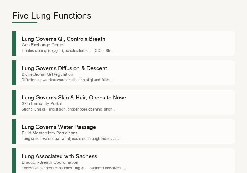 Five lung functions: qi governance, diffusion/descent, skin/hair, water regulation, sadness association