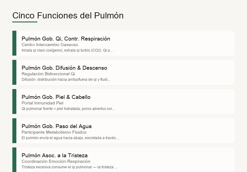 Las cinco funciones del pulmón: gobierna el qi, difusión y depuración, piel y pelos, reglamento de vías acuosas, tristeza