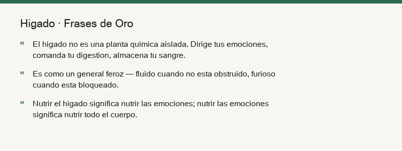 Resumen del hígado