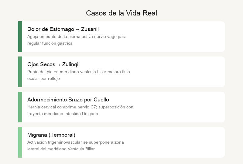 Casos de la Vida Real: Caída del Pelo del Programador, Retiro del Atleta, Deterioro de la Memoria en los Ancianos