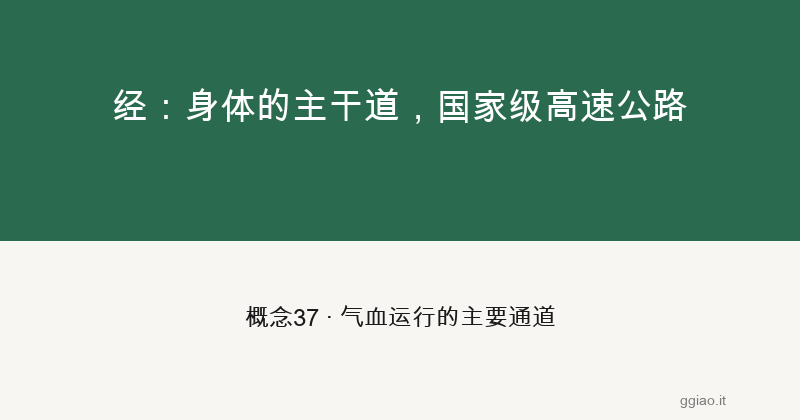 经：身体的主干道，国家级高速公路