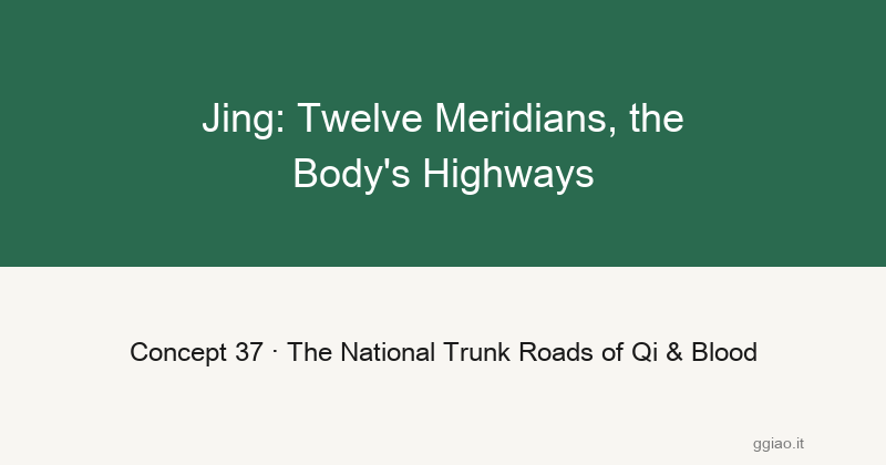Jing: The Body's Original Savings