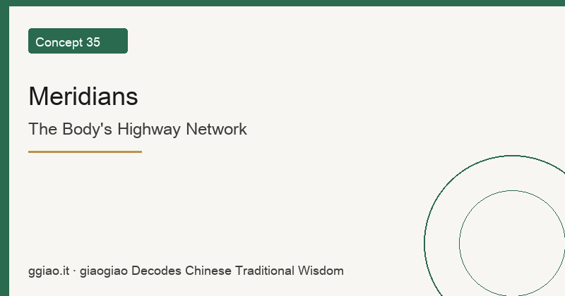 Meridians: The Body's Highway Network