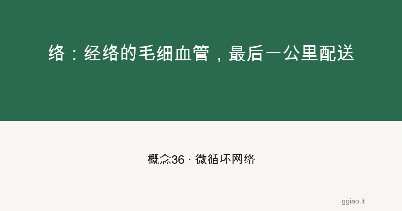 络：经络的毛细血管，最后一公里配送