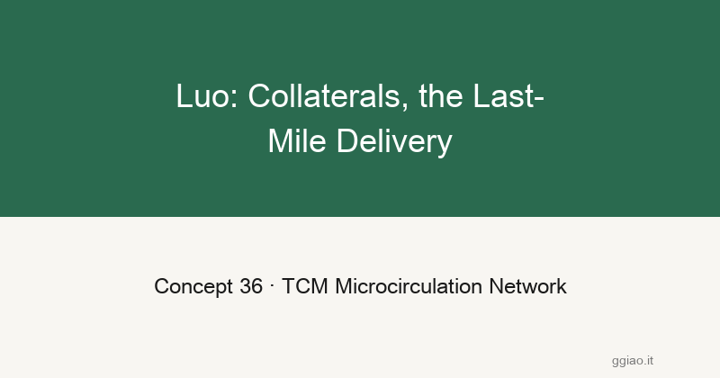 Luo: the capillaries of the meridian system, last-mile delivery