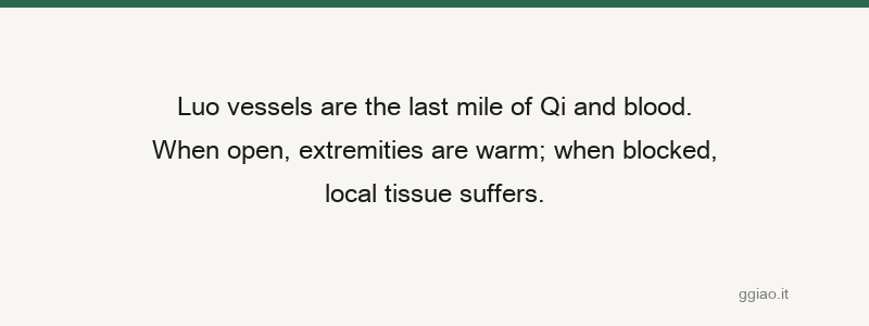 When collaterals are open, diseases disappear; when blocked, diseases arise