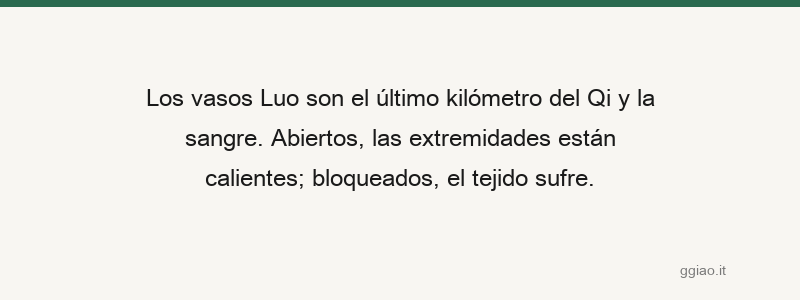 Cuando los colaterales están abiertos, las enfermedades desaparecen; cuando bloqueados, surgen enfermedades