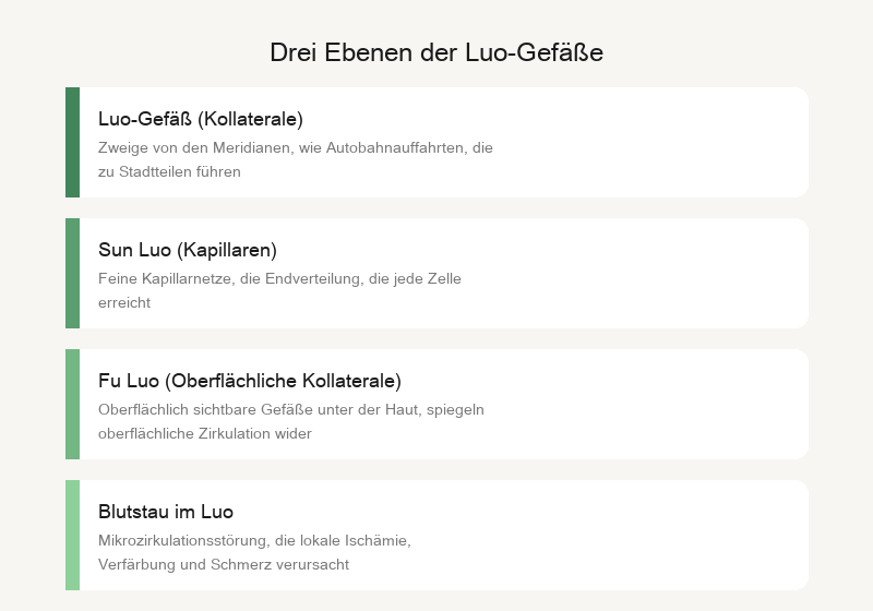 Kollateralgefäße: Drei-Ebenen-Netzwerk aus Kanälen, Kollateralen und feinen Kollateralen