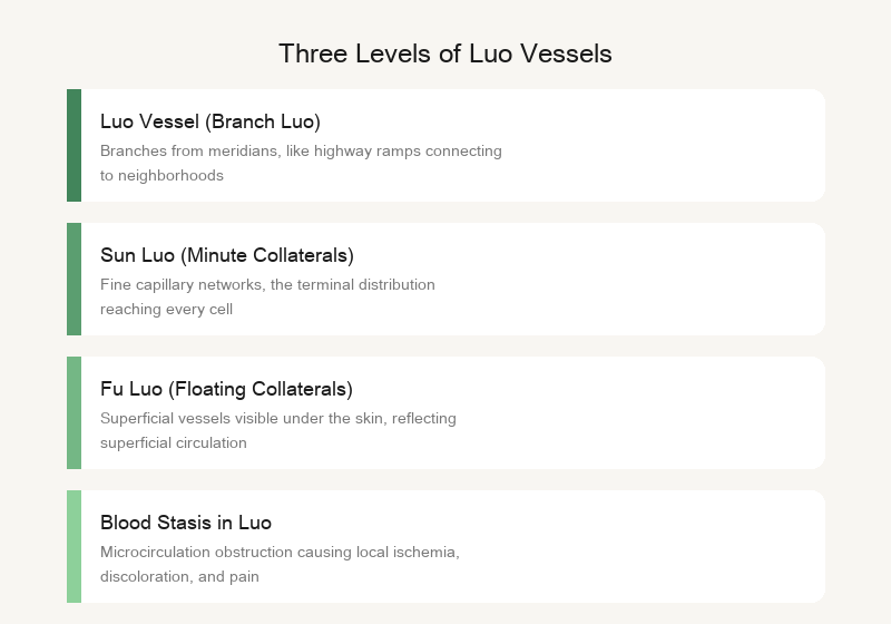 Collateral vessels: three-level network of channels, collaterals, and minute collaterals