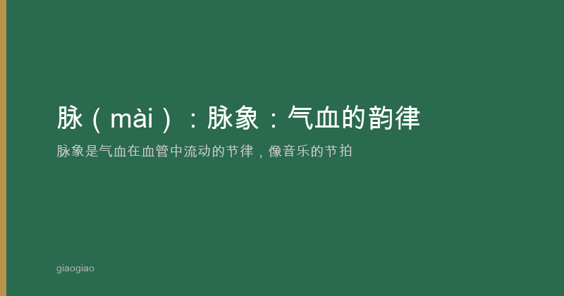脉：气血的交通信号