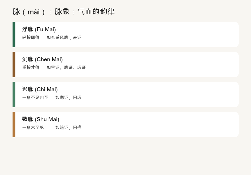 脉象的分类：浮沉迟数滑涩，六种交通路况