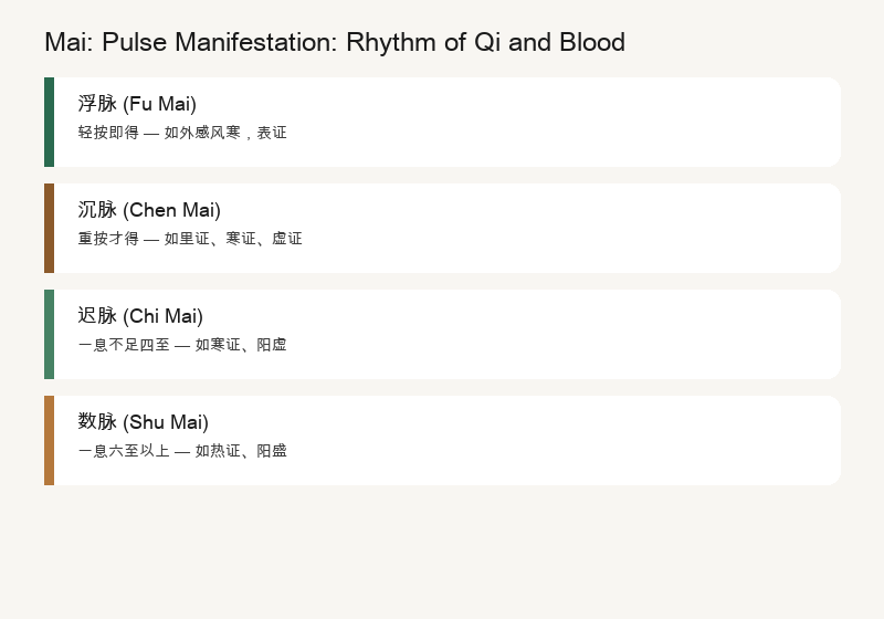Pulse: 28 Types of Pulse Manifestation
