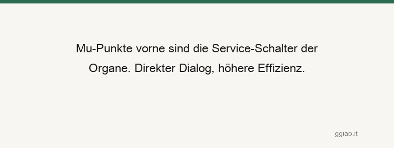 Shu-Mu-Paarung, Yin-Yang-Harmonie; Rezeption und Back-End, jeder erfüllt seine Funktion