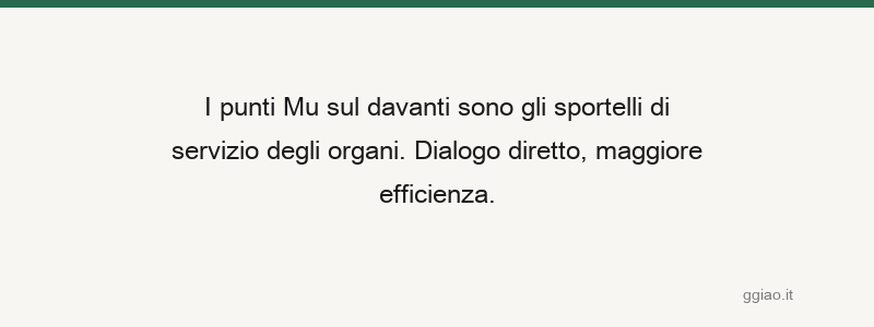 Abbinamento Shu-Mu, armonia Yin-Yang; reception e retro, ognuno svolge la sua funzione