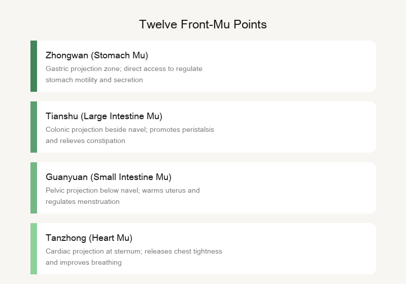 Front-Mu points: front desk service counters of the organs in the chest and abdomen