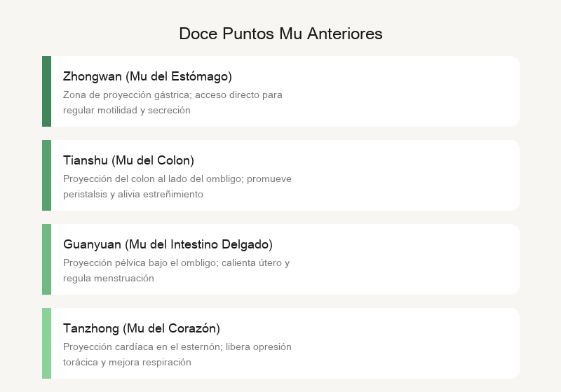 Puntos Mu anteriores: mostradores de servicio frontales de los órganos en el pecho y el abdomen