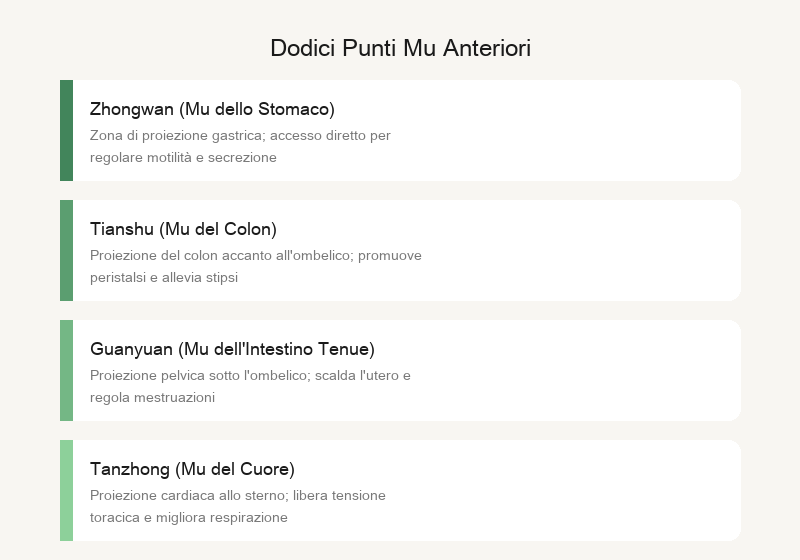 Punti Mu anteriori: banchi di servizio frontali degli organi nel torace e nell'addome