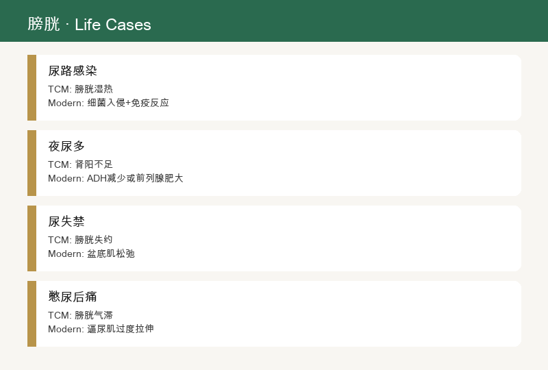 生活案例：尿路感染、夜尿多、尿失禁、憋尿后疼痛