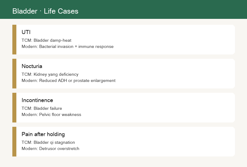 Cases of Bladder Disorders