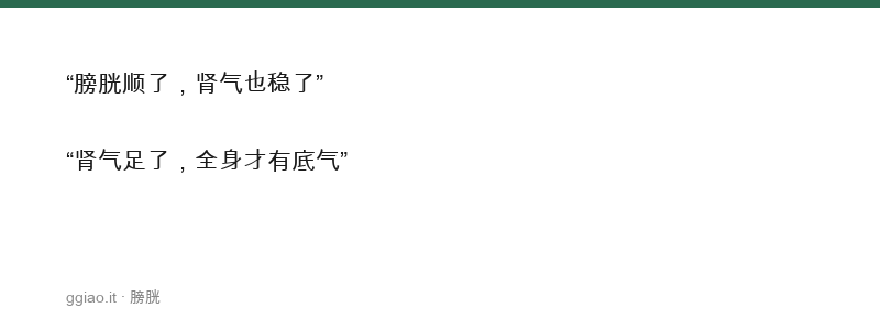 膀胱州都，气化出焉