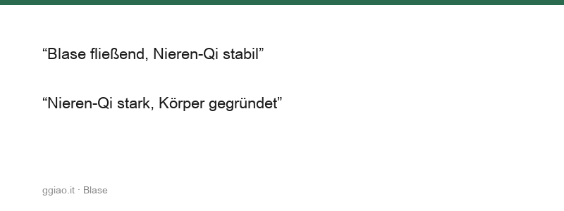 Die Harnblase wandelt und lässt, ihre Arbeit entsteht