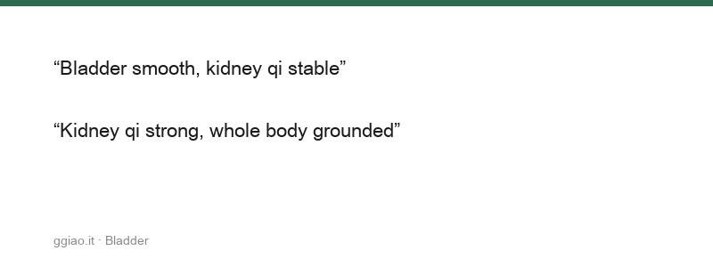 The Bladder is the Official of the Capital