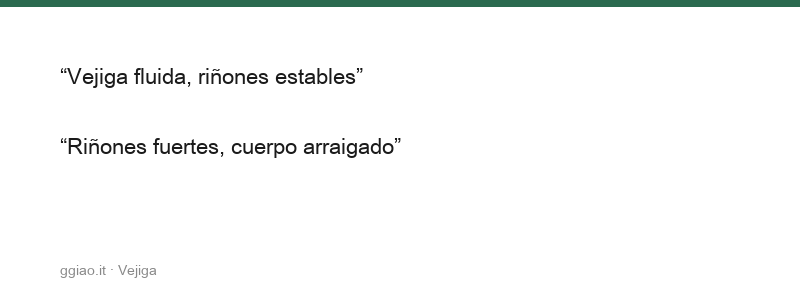 La vejiga transforma y deja, su trabajo emerge