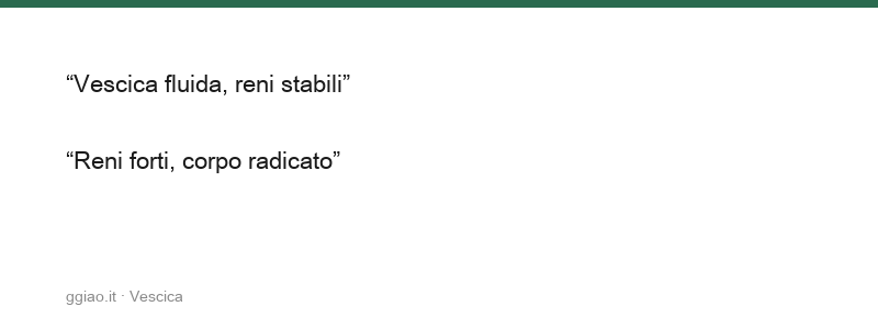La vescica trasforma e lascia, il suo lavoro emerge