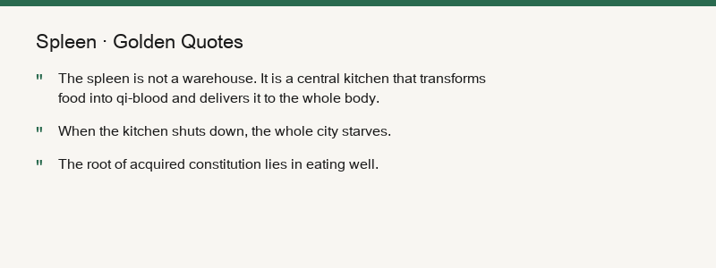Spleen Summary