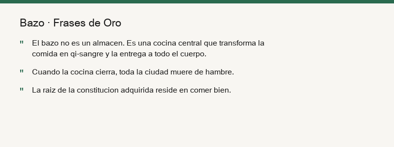 Resumen del bazo