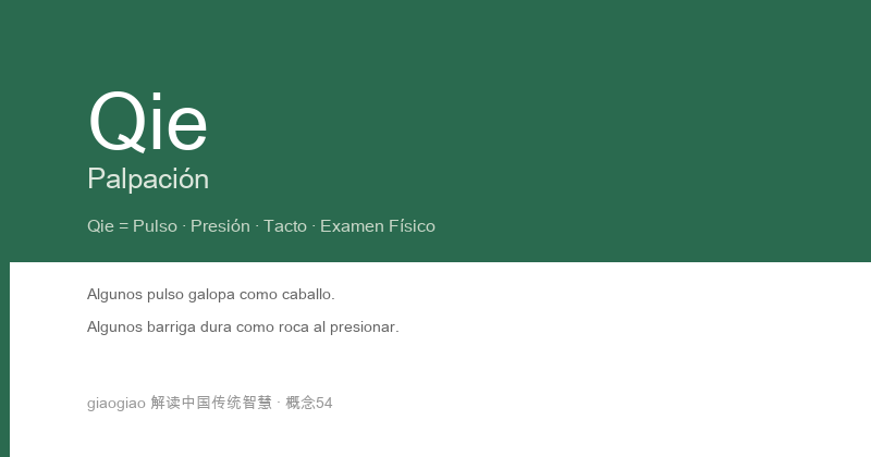 Palpación: El Escáner Táctil del Cuerpo y la Sonda de Palpación