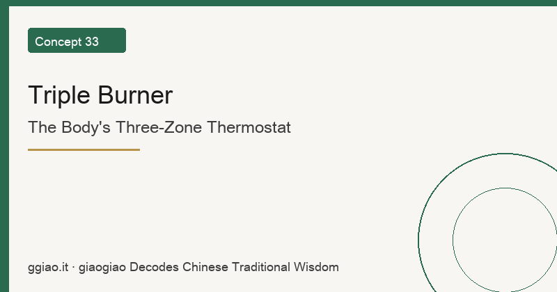Triple Burner: The Body's Logistics Hub