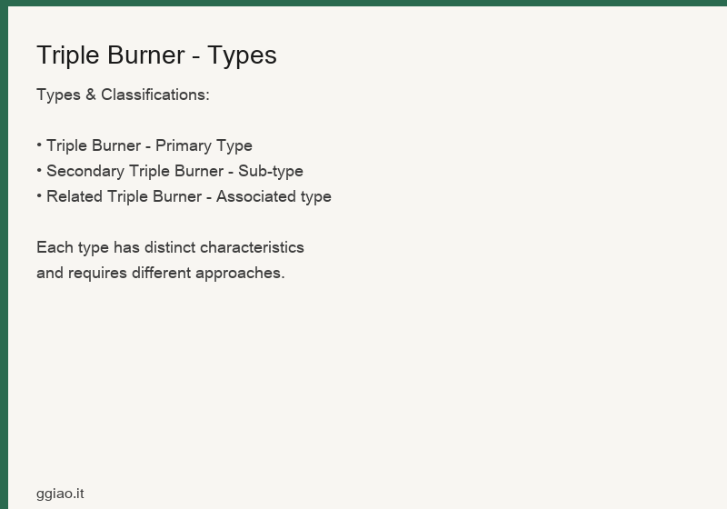 Triple Burner Classification: Upper Burner like mist, Middle Burner like foam, Lower Burner like a ditch