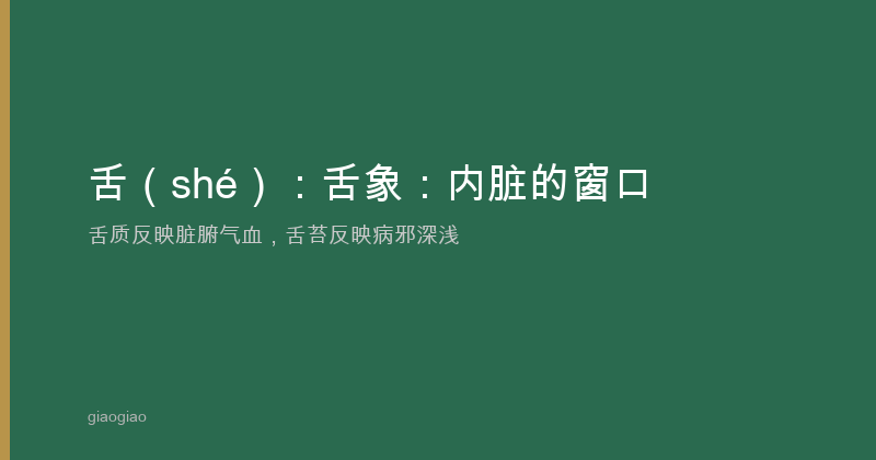舌诊：身体的内窥镜与全息投影仪