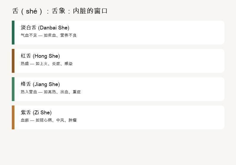 舌诊：舌质、舌苔、舌分区