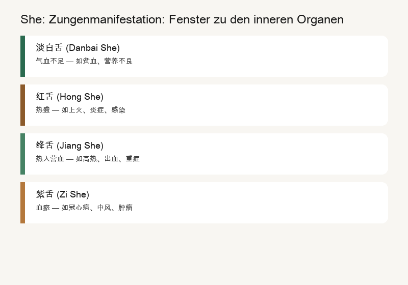 Zungendiagnose: Zungenfarbe, Zungenbelag und Zungenzonen